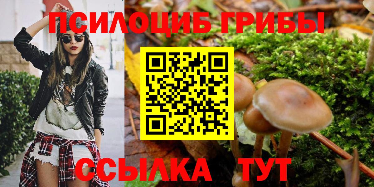 Псилоцибиновые грибы Psilocybine cubensis  Псилоцибиновые грибы GOLDEN TEACHER  Кандалакша  Вход с VPN 