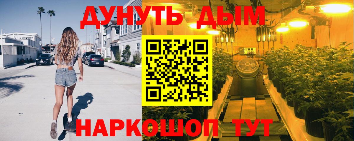 Конопля план  Вход с VPN  Бошки Шишки Bruce Banner  Бошки марихуана тримм  Бошки марихуана Amnesia  Кандалакша 